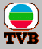 tvb_logo.gif (1515 bytes)