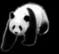 animado.gif (48382 bytes)